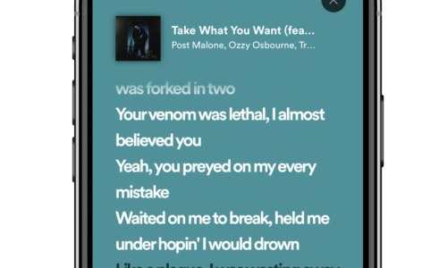 Come tradurre testi canzoni su Spotify